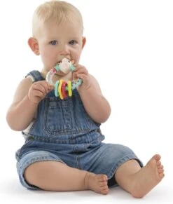 Sophie De Giraf - Rammelaar - Multi Textuur - Op Wit Rode Hangkaart -Babyproducten Serie Winkel 1019x1200 2