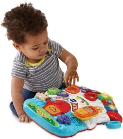 VTech 2 In 1 Baby Walker - Educatief Babyspeelgoed - Loopwagen Met Licht -Babyproducten Serie Winkel 1057x1200