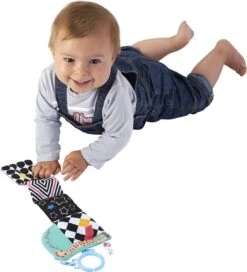 Sophie De Giraf - Buggyboekje - Vriendjes Ontdekboekje -Babyproducten Serie Winkel 1090x1200