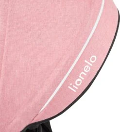 Lionelo Tris - Loopfiets - Draaibaar Stoel - Snel Opvouwsysteem - Tot 25kg -Babyproducten Serie Winkel 1091x1200