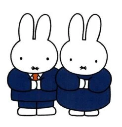 Nijntje Kleine Pluis -Babyproducten Serie Winkel 1153x1200 3