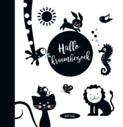Hello - Baby's Eerste Jaar -Babyproducten Serie Winkel 1164x1200