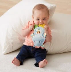 VTech Baby Bijtring Nijlpaardje - Educatief Babyspeelgoed - 0 Tot 24 Maanden -Babyproducten Serie Winkel 1184x1200 1