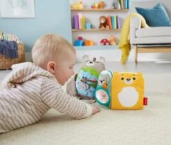 Fisher Price Fisher-Price Knuffelbaar Activiteiten Boekje Baby - Baby Speelgoed -Babyproducten Serie Winkel 1200x1021