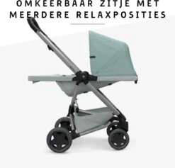 Quinny Zapp Flex Plus Buggy - Frost On Grey -Babyproducten Serie Winkel 1200x1150 6
