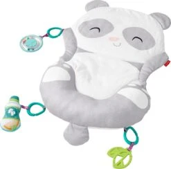 Fisher Price Allesinéén Pandaspeelmat -Babyproducten Serie Winkel 1200x1184 1