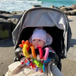 Playgro Boxspiraal Amazing Garden Twirly Whirly - Kinderwagen Speeltje - Activiteitenspiraal -Babyproducten Serie Winkel 1200x1200 120