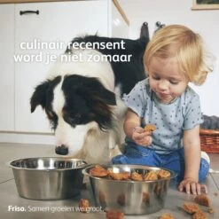 Friso 3 - Opvolgmelk - Vanaf 10 Maanden - 800g - Blik -Babyproducten Serie Winkel 1200x1200 1306