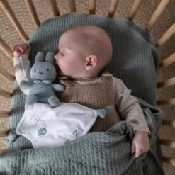 Tiamo Collection Nijntje Knuffeldoekje - Green Knit -Babyproducten Serie Winkel 1200x1200 149