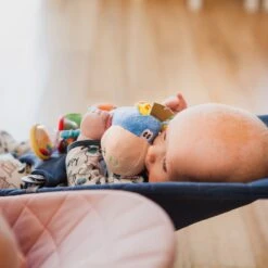 Playgro Clip Clop Rammelaar - Blauw - Activiteitenspeeltje - Kraamkado -Babyproducten Serie Winkel 1200x1200 29