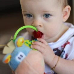 Playgro Clip Clop Rammelaar - Blauw - Activiteitenspeeltje - Kraamkado -Babyproducten Serie Winkel 1200x1200 31