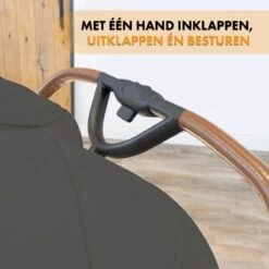 Deryan Luxe Rolo X2 Dubbele Buggy - Duo Buggy - Grijs -Babyproducten Serie Winkel 1200x1200 567