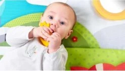 Tiny Love Supermat Speelmat - Meadow Days -Babyproducten Serie Winkel 1200x678