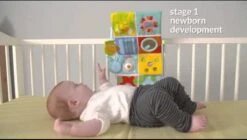 Taf Toys Activity Center Voor Aan De Box, Campingbed Of Los Te Gebruiken, Met Muziek En Licht – 0 Tot 24 Maanden -Babyproducten Serie Winkel 1200x682