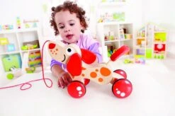 Hape Walk-a-long Puppy 16 Hape Walk-a-long Puppy -Babyproducten Serie Winkel 1200x799 1