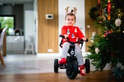 Lionelo Haari - Driewieler - Drankhouder - 2in1 - Tot 36+ -Babyproducten Serie Winkel 1200x799 42