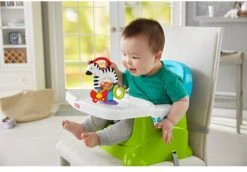 Fisher Price - Activity Zebra - Rammelaar - Speeltje En Bijtring - Grijpspeelgoed -Babyproducten Serie Winkel 1200x835