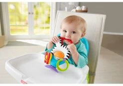 Fisher Price - Activity Zebra - Rammelaar - Speeltje En Bijtring - Grijpspeelgoed -Babyproducten Serie Winkel 1200x842 1