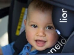 Lionelo Bastiaan - Autostoel - Roteerbaar - 0-36kg - 360° Draaibaar -Babyproducten Serie Winkel 1200x896 3