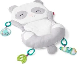 Fisher Price Allesinéén Pandaspeelmat -Babyproducten Serie Winkel 1200x998