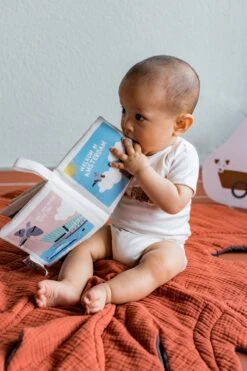 Zacht Babyboekje Amsterdam - 100% Katoen - Fairly Made - In Mooie Geschenkverpakking - Duurzaam En Origineel Kraamcadeau -Babyproducten Serie Winkel 800x1200 1