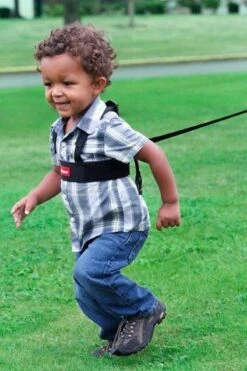 Diono - Sure Steps - Kindertuigje Met Looplijn - Looptuigje Voor Kinderen Van Ca. 1-4 Jaar -Babyproducten Serie Winkel 800x1200 147