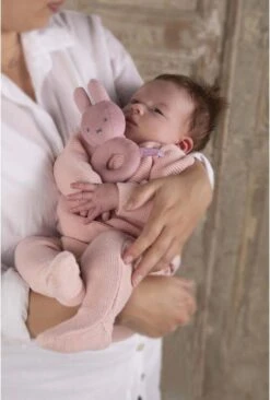 Nijntje - Rammelaar - Pink Baby Rib - 0+ Maanden -Babyproducten Serie Winkel 810x1200