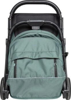 Koelstra Compact Buggy Gen - Dark Forest Green -Babyproducten Serie Winkel 857x1200
