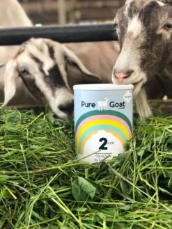 Pure Goat Company - Opvolgmelk 2 - Biologische Flesvoeding Op Basis Van Volle Geitenmelk - 800 Gram -Babyproducten Serie Winkel 900x1200 36