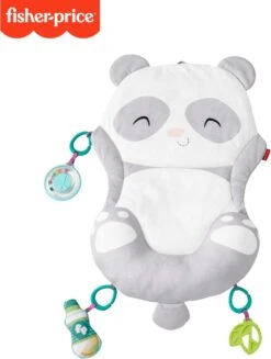 Fisher Price Allesinéén Pandaspeelmat -Babyproducten Serie Winkel 906x1200 1